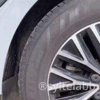 Lichenskin Car Interior Cleaner