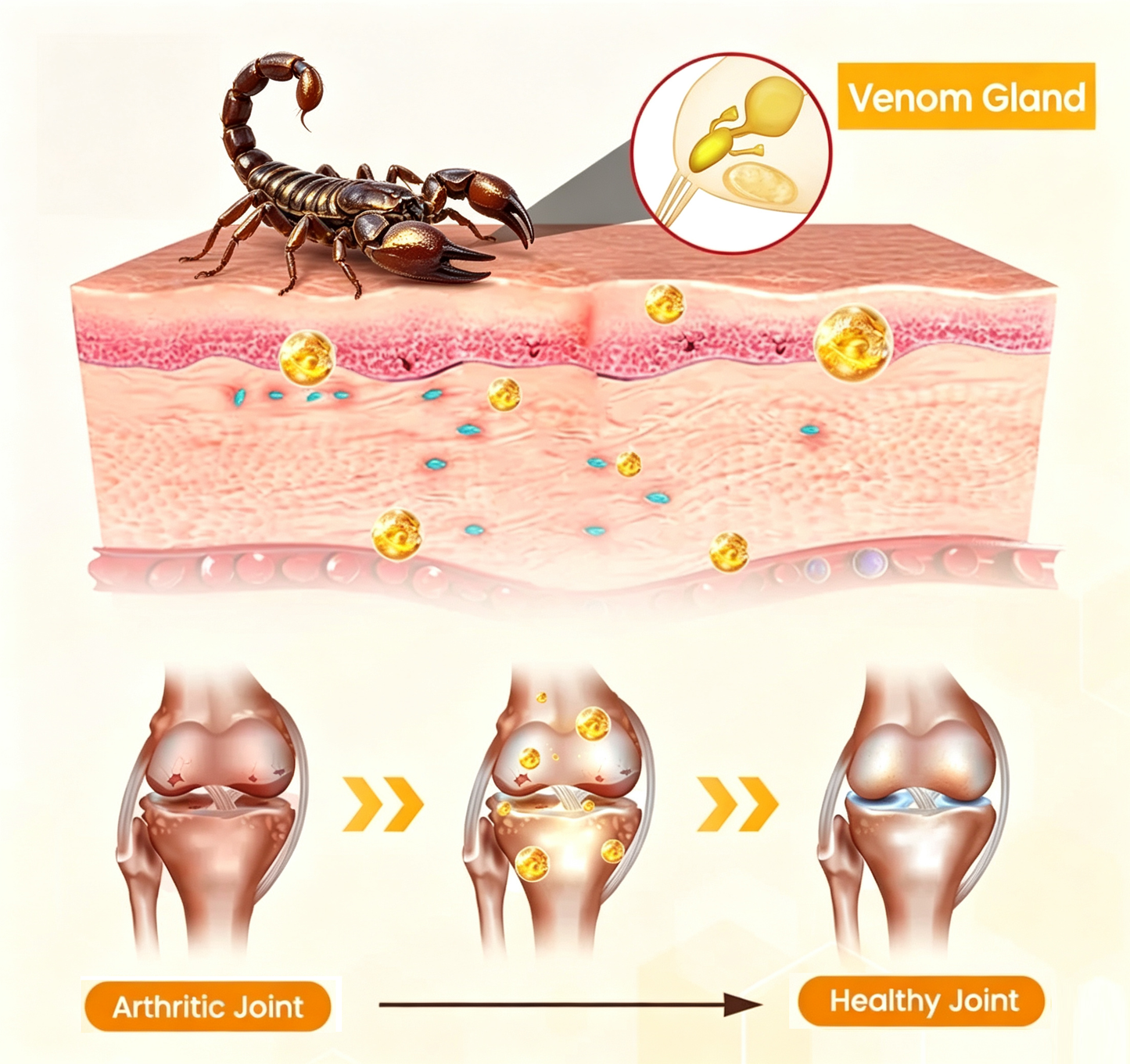 Lichenskin® ScorpionVenom Joint Repair Cream